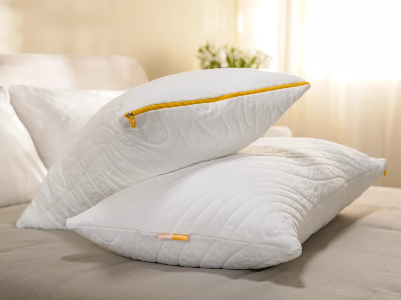Almohada Max Pluma