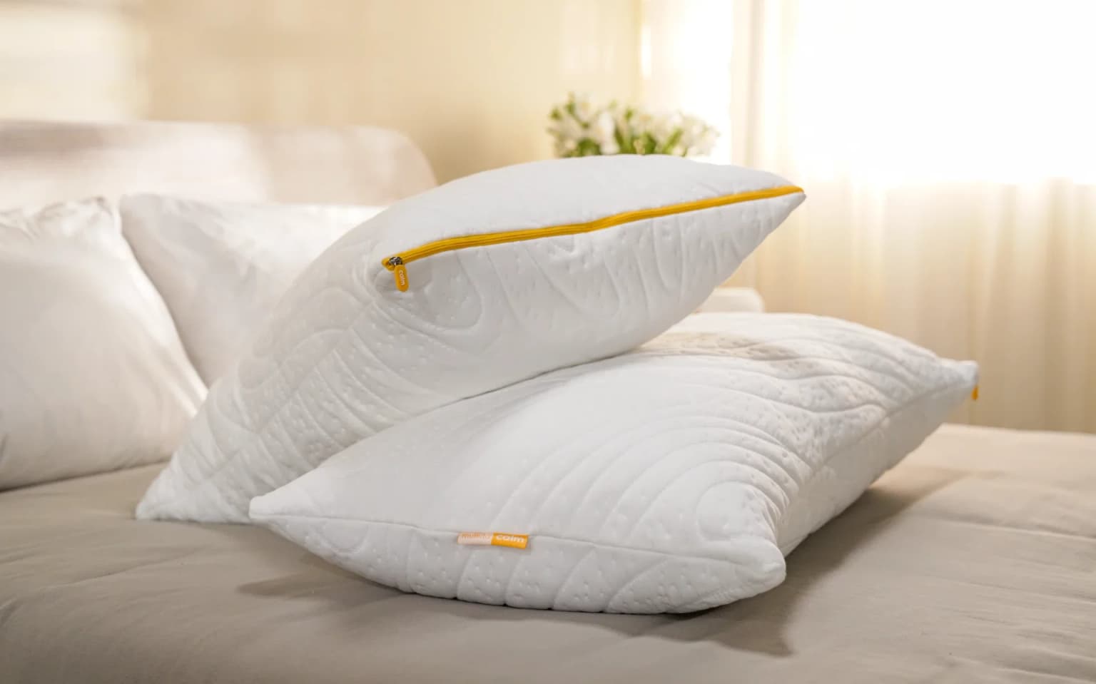 Almohada Max Pluma