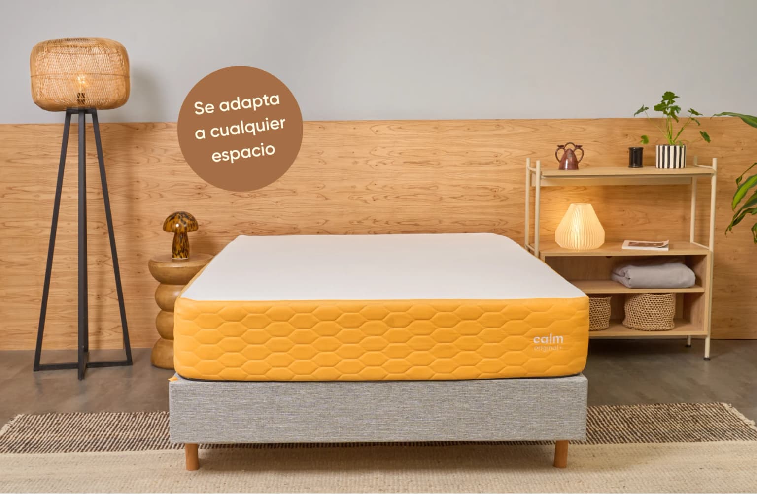 Sommier Box Terrenal